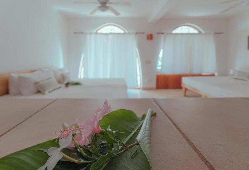 Студия Стандарт Вид на Море, Casas Kismet