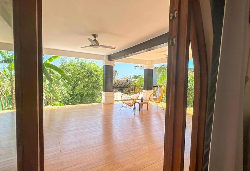 스탠다드 스튜디오, Casas Kismet