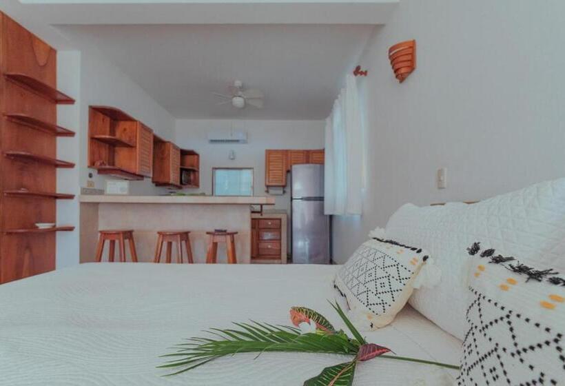 스탠다드 스튜디오 바다 전망, Casas Kismet