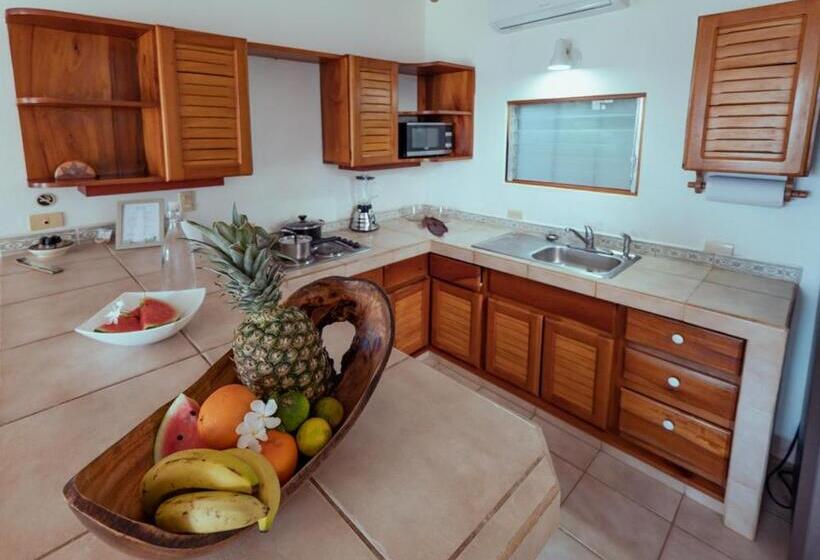 스탠다드 스튜디오 바다 전망, Casas Kismet