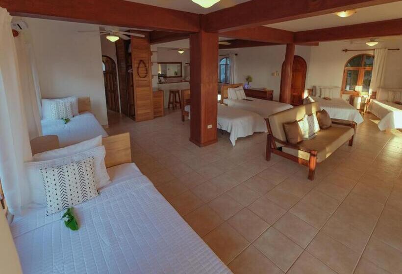 디럭스 스튜디오, Casas Kismet