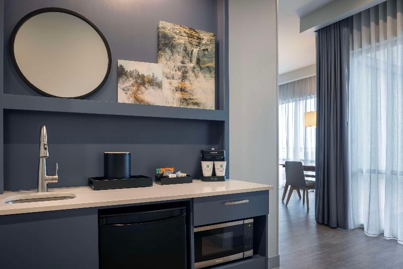 سوئیت با تخت بزرگ, Embassy Suites By Hilton Bowling Green