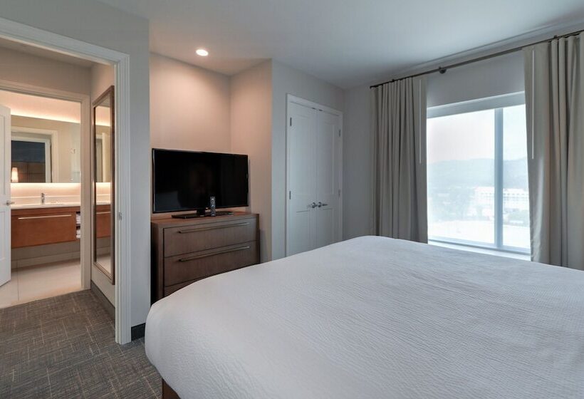 带双人床的标准工作室, Residence Inn By Marriott Pigeon Forge