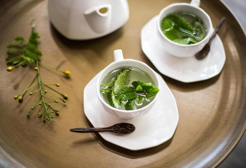 스위트 킹사이즈 침대, Thea Resort & Retreats Santa Teresa