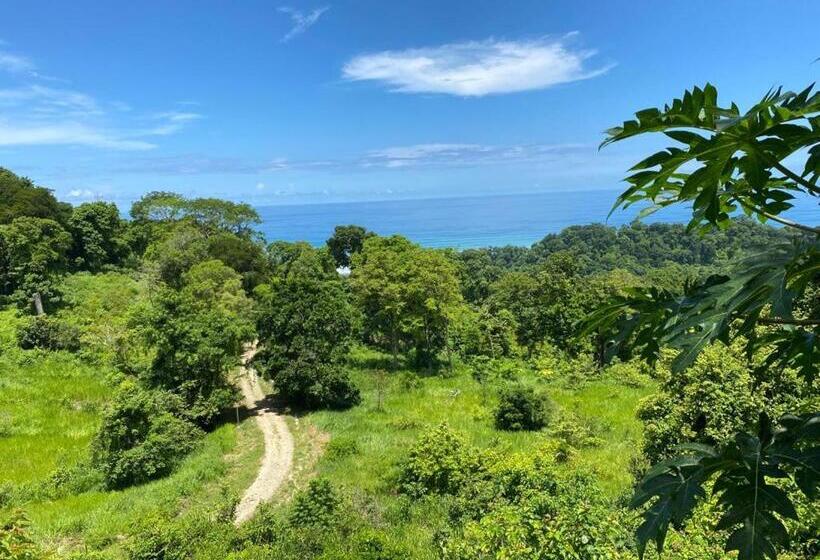 빌라 1 베드룸 - 수영장, Thea Resort & Retreats Santa Teresa