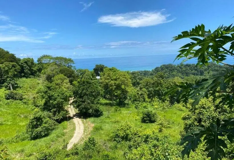 プール付き１ベッドルームヴィラ, Thea Resort & Retreats   Santa Teresa