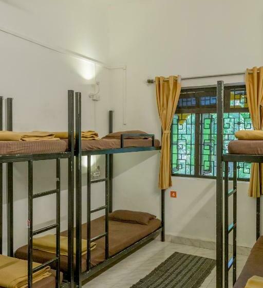 מיטה בחדר משותף, Bunknbrew