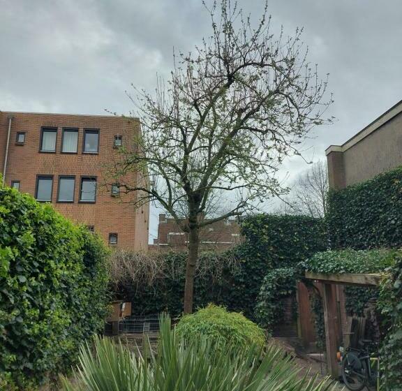 标准间, Saya Boutique