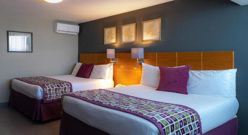 اتاق لوکس, Aladino