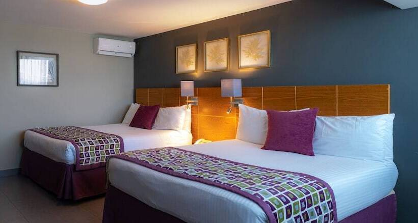 اتاق لوکس, Aladino