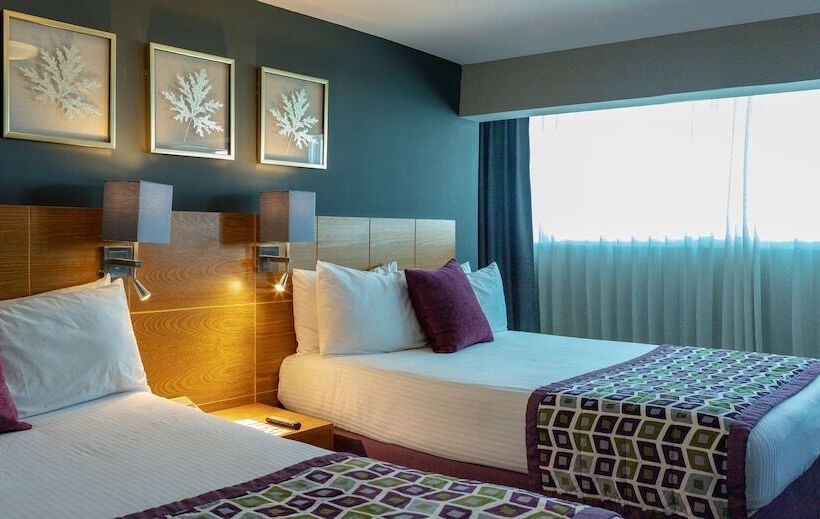 اتاق لوکس, Aladino