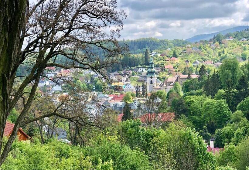 חדר סטנדרט יחיד, & Penzión Grand Matej