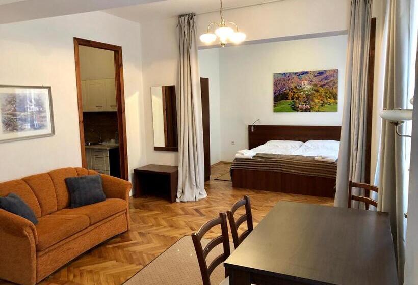 חדר סטודיו סטנדרד, & Penzión Grand Matej