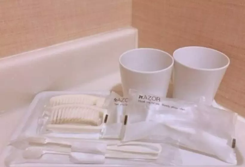 スタンダードシングルルーム, Smile Hotel Namba