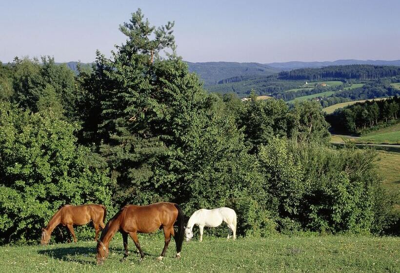 スタンダード４人部屋, Wienerwaldhof Rieger