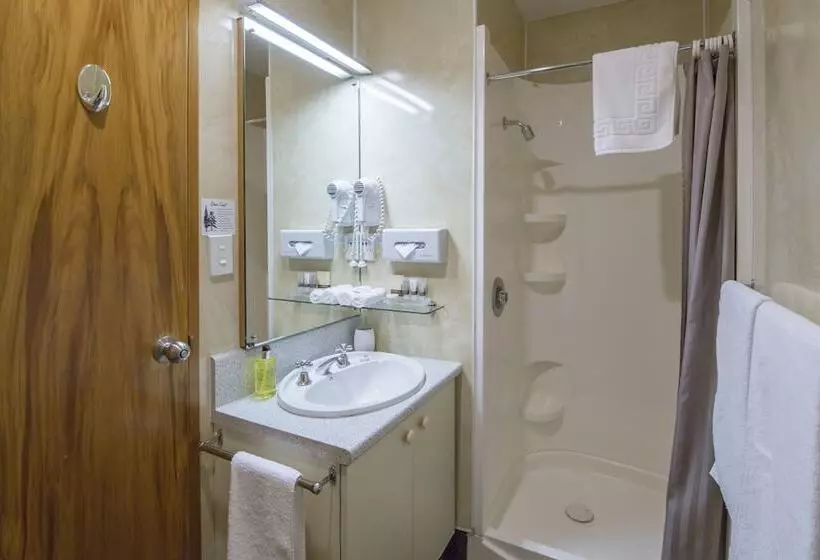 1ベッドルームアパートメント, Amross Court Motor Lodge