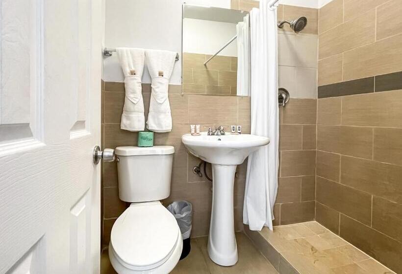 חדר סופריור, Hollywood Beach Hotels