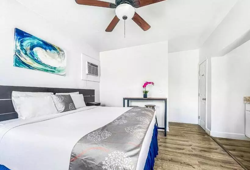 海の見えるスタンダードスタジオ, Hollywood Beach Hotels