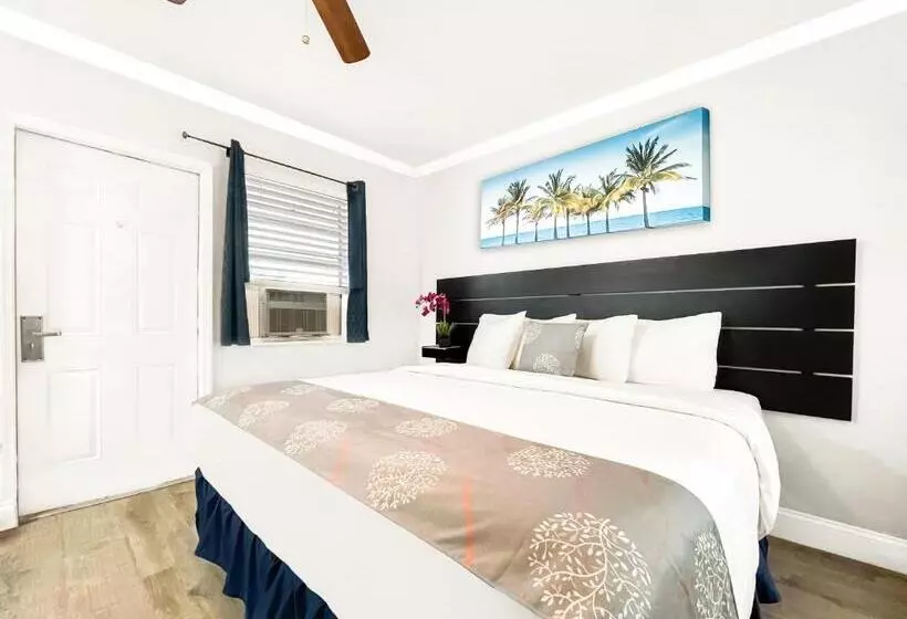 海の見えるスタンダードスタジオ, Hollywood Beach Hotels