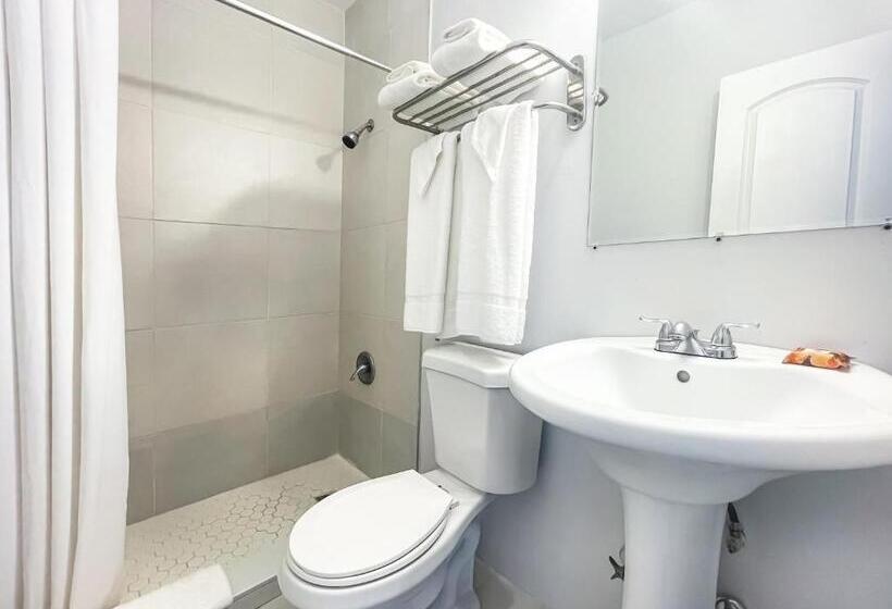 סטודיו סטנדרטי נוף לים, Hollywood Beach Hotels