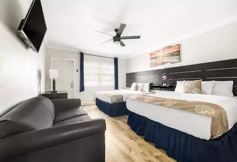 オーシャンビューデラックスルーム, Hollywood Beach Hotels