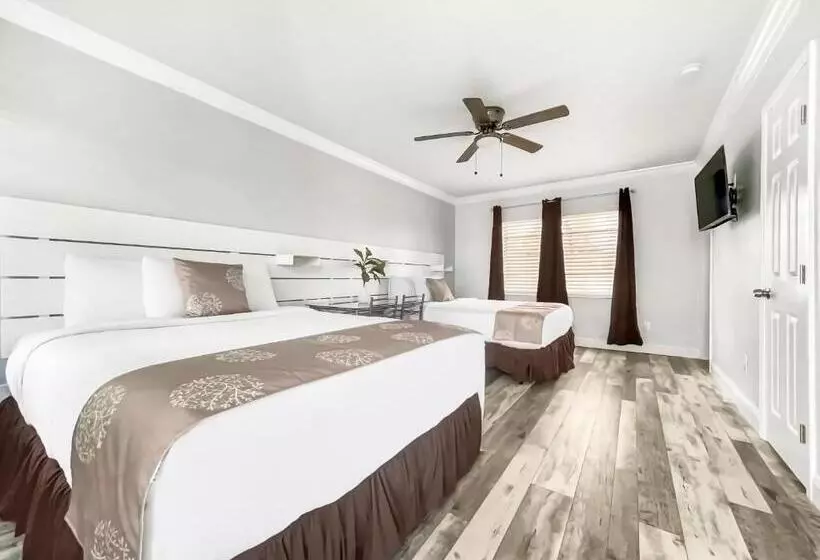 オーシャンビューデラックスルーム, Hollywood Beach Hotels