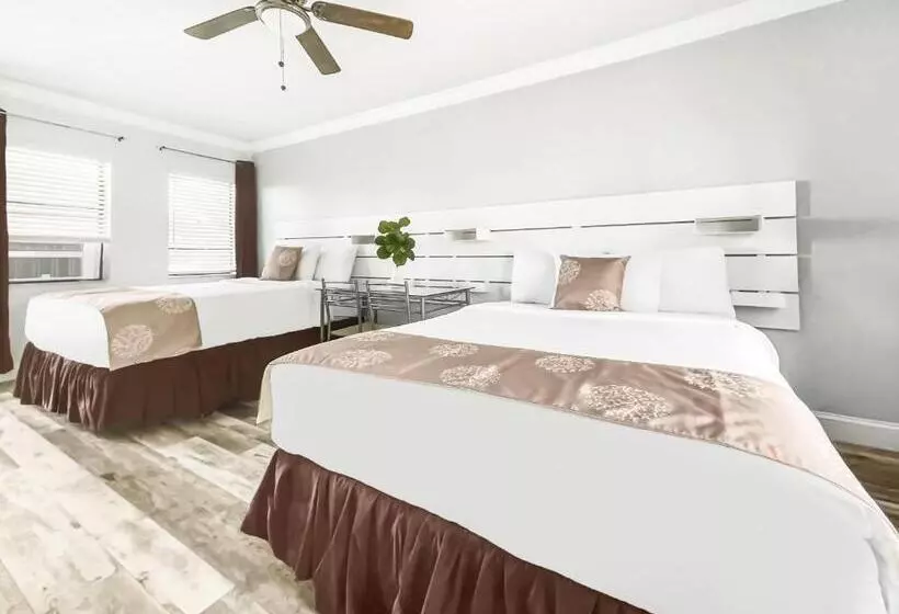 オーシャンビューデラックスルーム, Hollywood Beach Hotels
