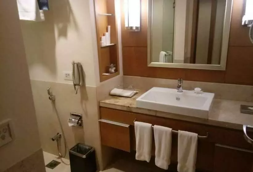 スーペリアールーム, Radisson Blu Hotel, Nagpur