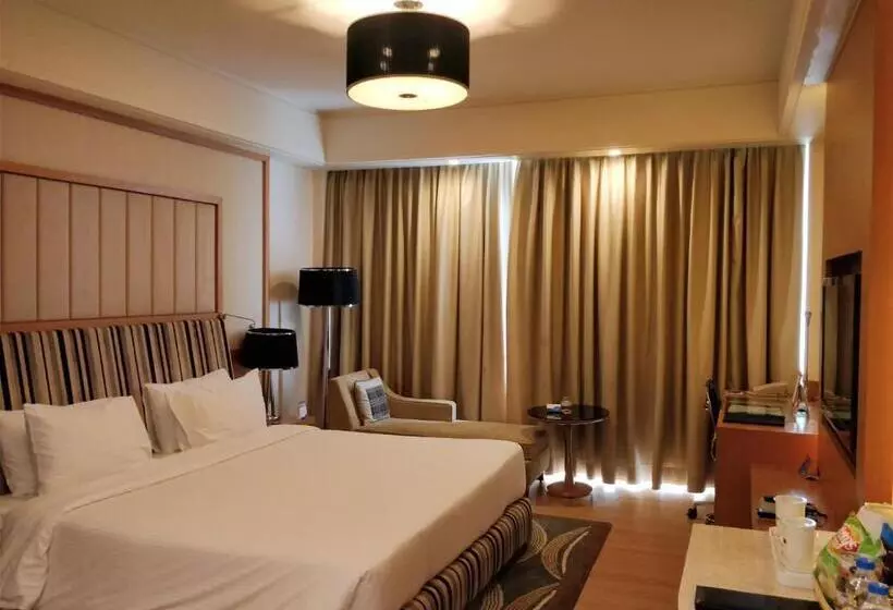 スーペリアールーム, Radisson Blu Hotel, Nagpur