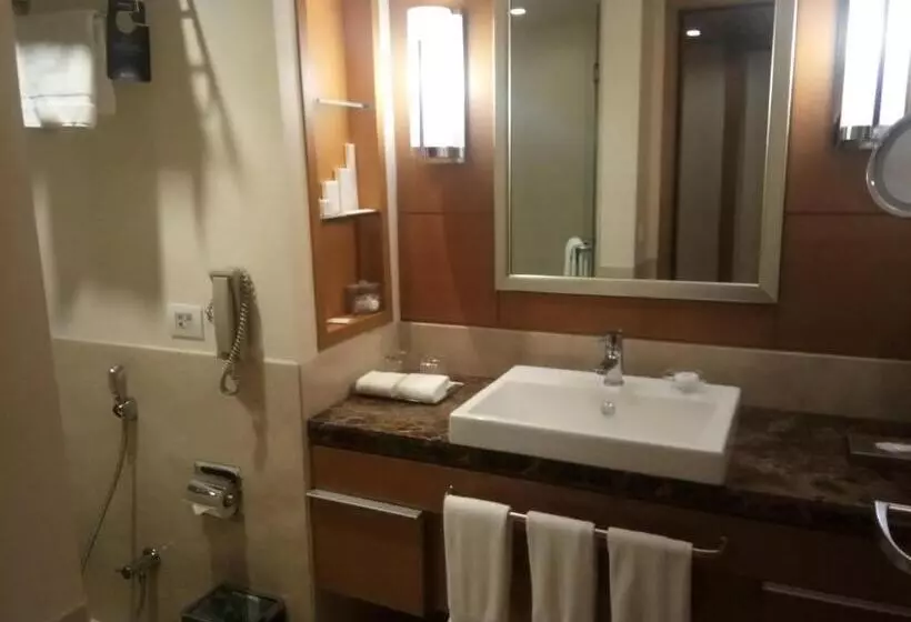 スーペリアールーム, Radisson Blu Hotel, Nagpur