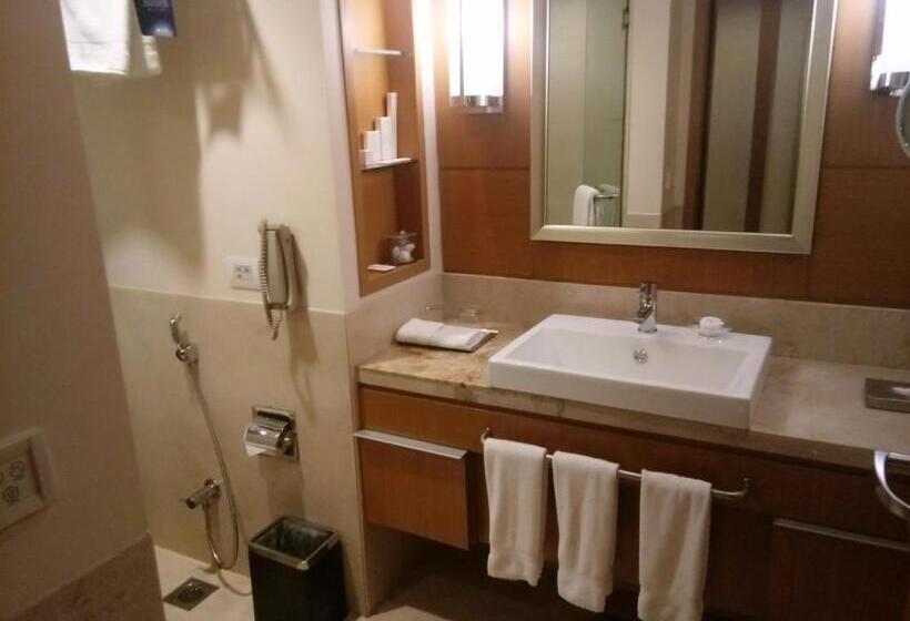 豪华房间, Radisson Blu Hotel, Nagpur
