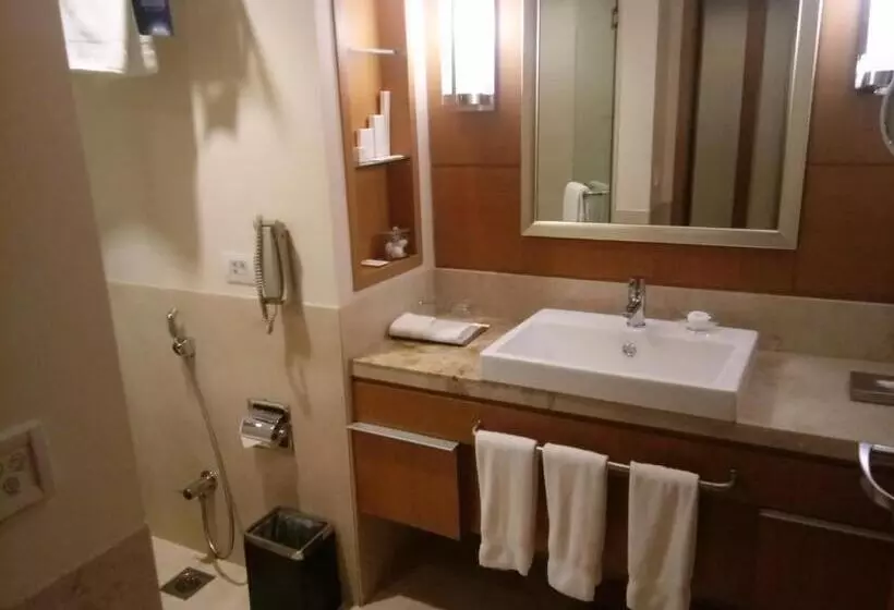 デラックスルーム, Radisson Blu Hotel, Nagpur
