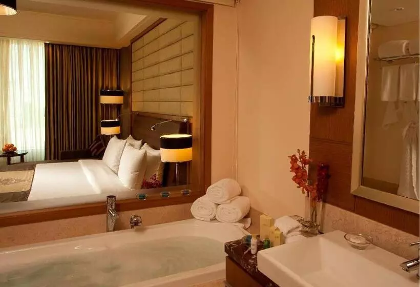 ビジネスルーム, Radisson Blu Hotel, Nagpur