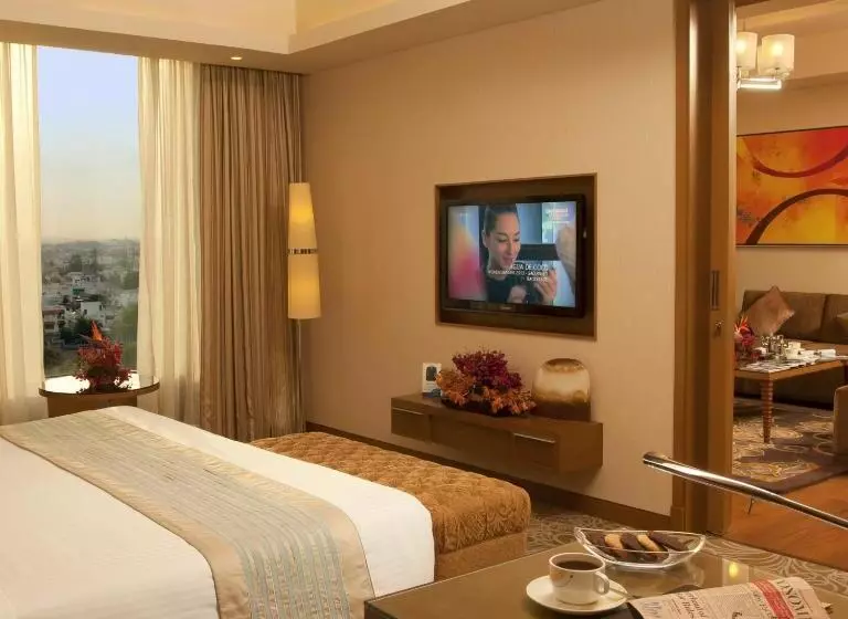 スイート, Radisson Blu Hotel, Nagpur