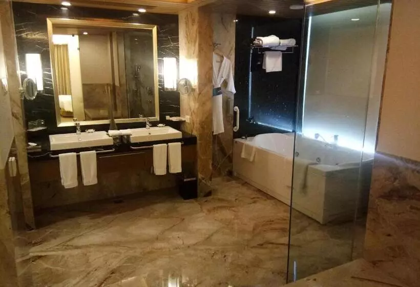 スイート, Radisson Blu Hotel, Nagpur