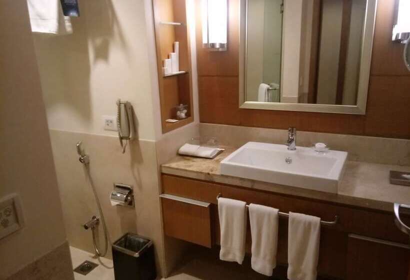 اتاق کلاس بیزنس, Radisson Blu Hotel, Nagpur