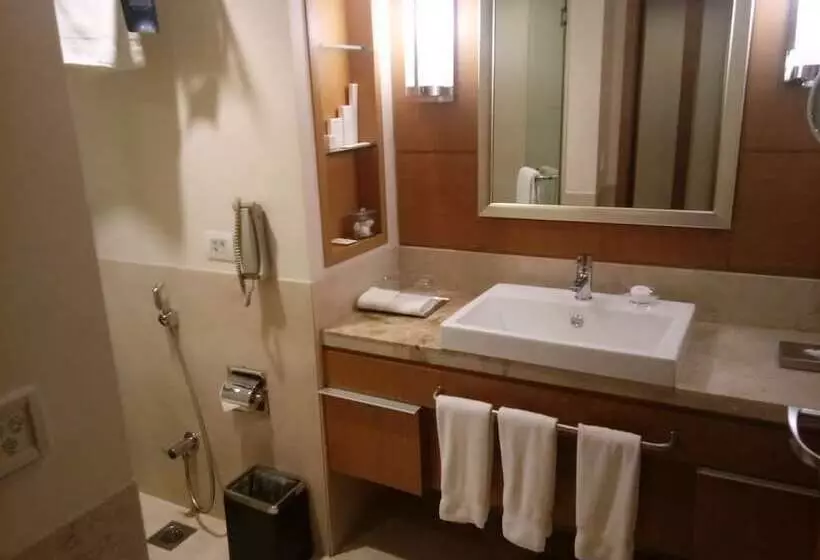 ビジネスルーム, Radisson Blu Hotel, Nagpur