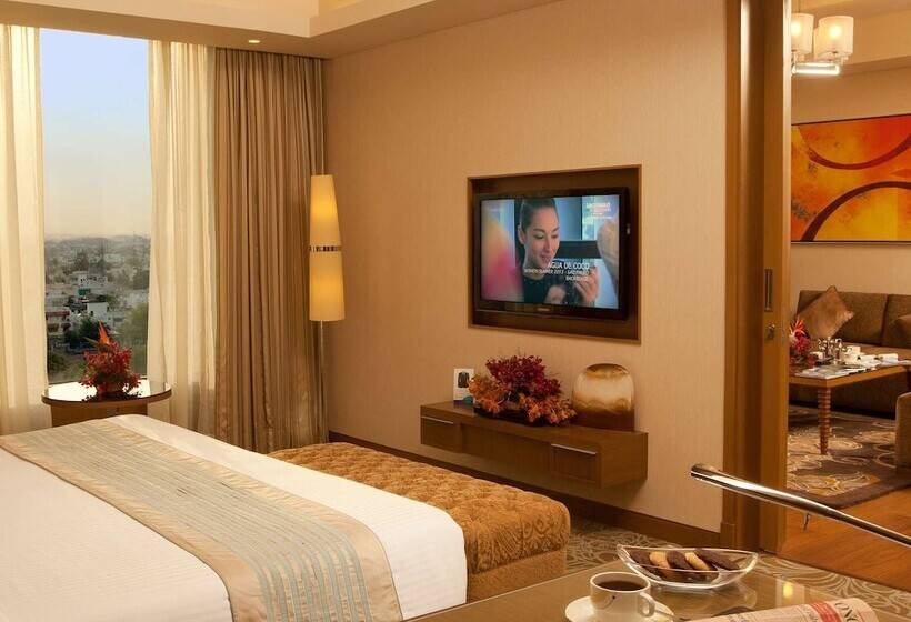 سوییت, Radisson Blu Hotel, Nagpur