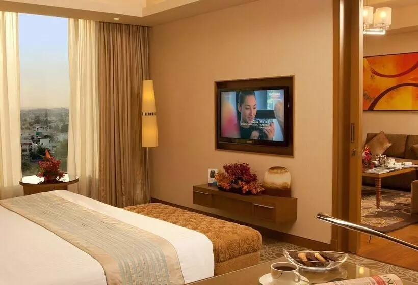 スイート, Radisson Blu Hotel, Nagpur