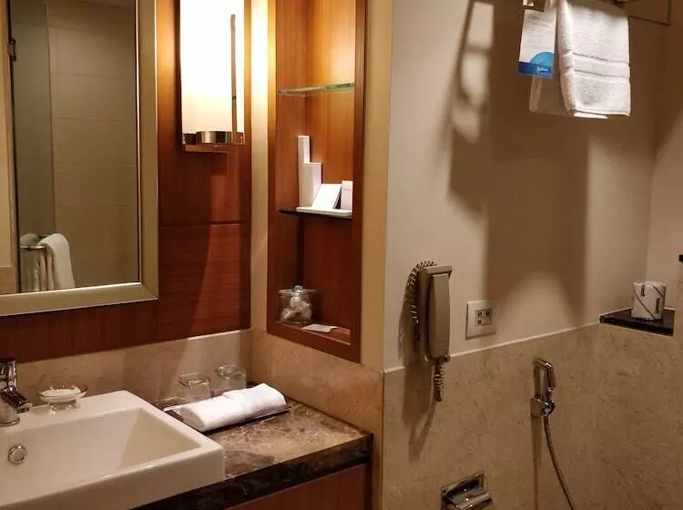 スイート, Radisson Blu Hotel, Nagpur