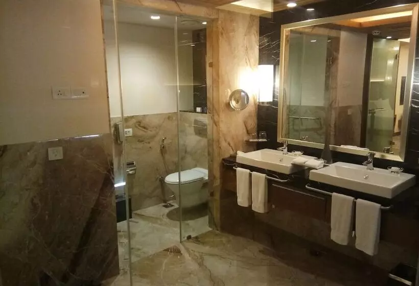 スイート, Radisson Blu Hotel, Nagpur