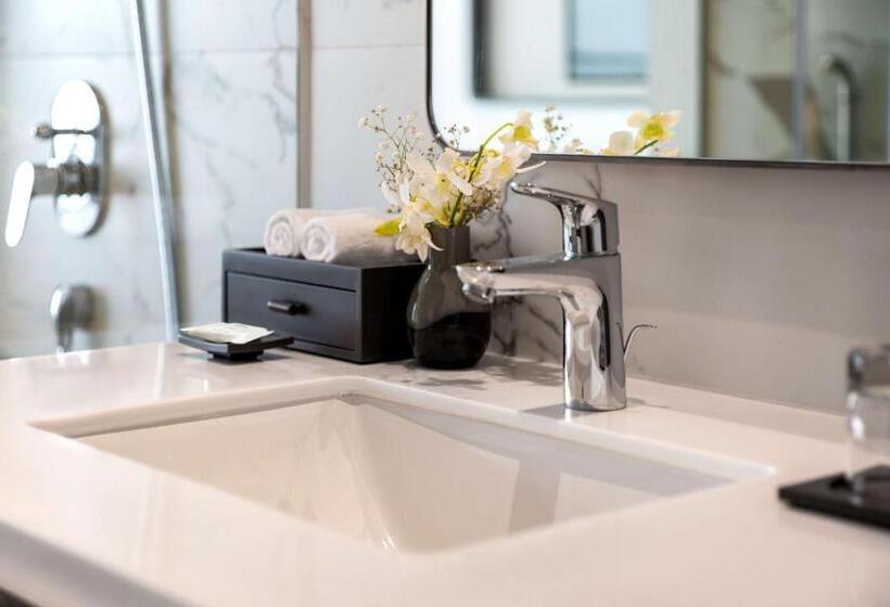 سوییت, Radisson Blu Hotel, Nagpur