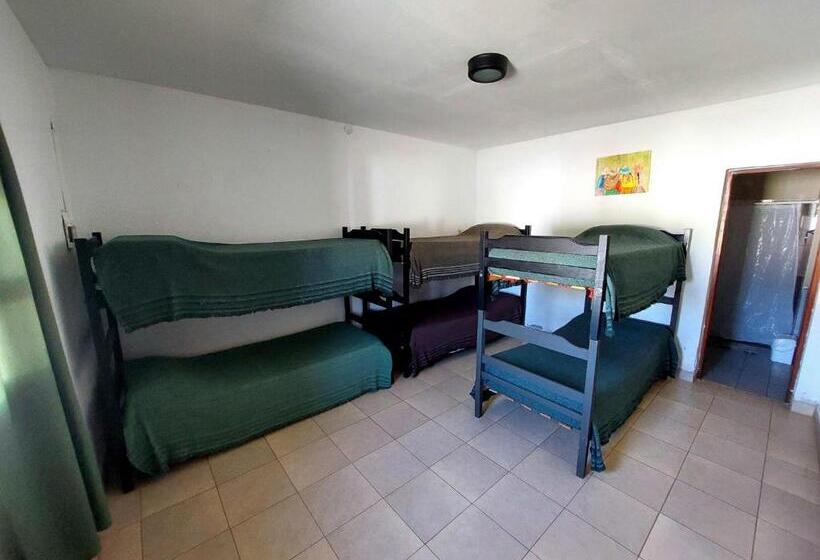 تختخواب در اتاق مشترک, Huaka Hostel