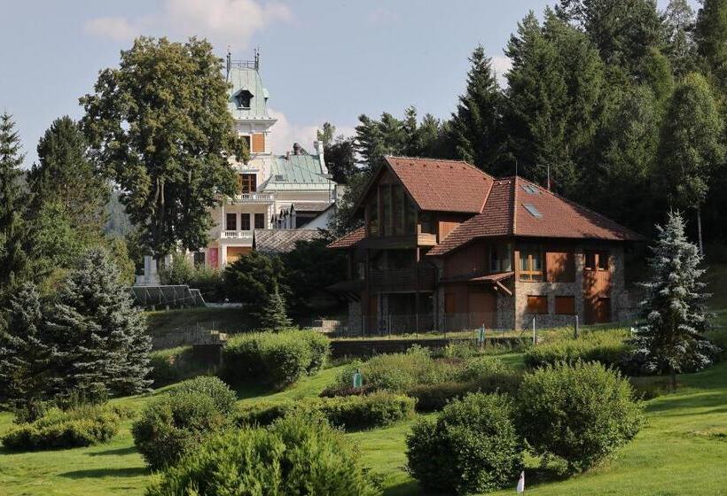 带1个卧室的豪华别墅, Chateau Cihelny