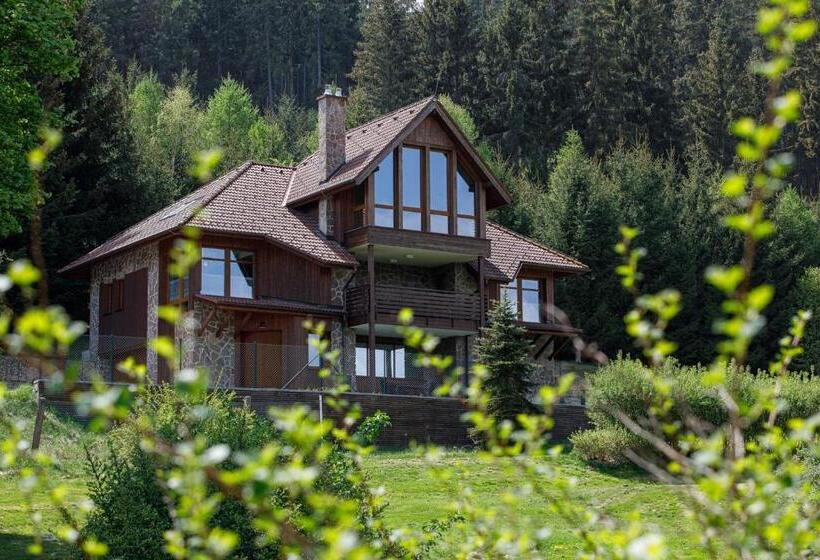 带1个卧室的豪华别墅, Chateau Cihelny