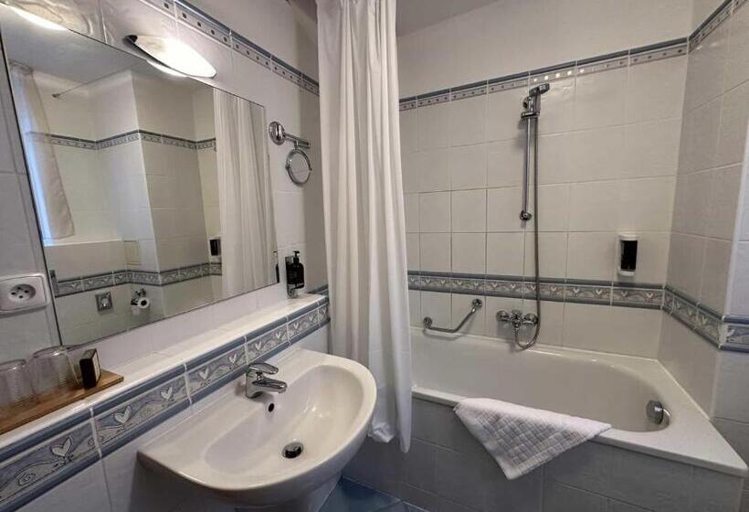 经济房, Chateau Cihelny