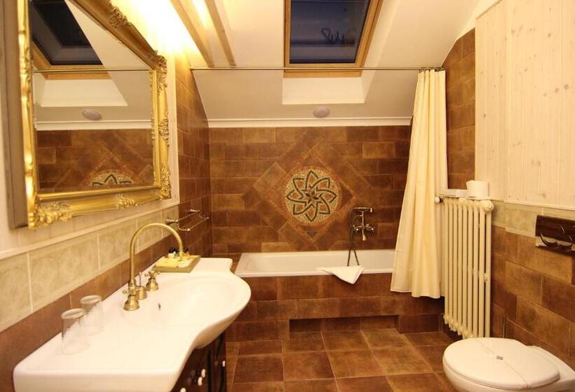 高级大房间, Chateau Cihelny