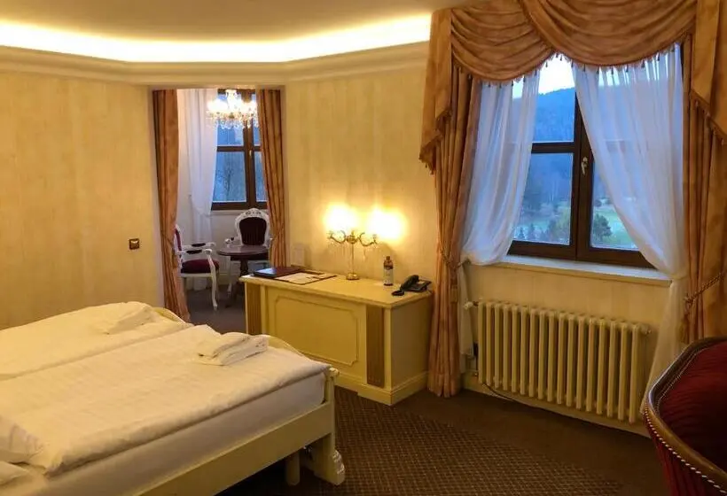 デラックスルーム, Chateau Cihelny