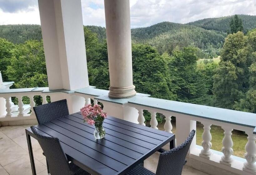 小型套房, Chateau Cihelny