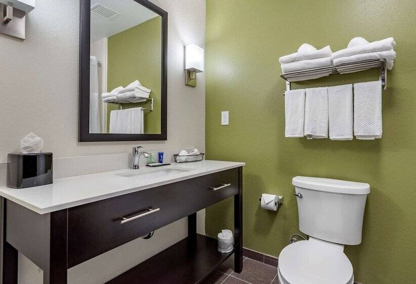 סוויטה, Sleep Inn & Suites